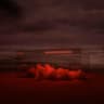 Album artwork for Someone You Loved by Lewis Capaldi