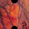 Album artwork for JoHn Muir by ScHoolboy Q