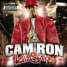 Album artwork for I.B.S by Cam’ron