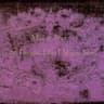 Album artwork for Mazzy Star - Fade Into You (Deutsche Übersetzung) by Genius Deutsche Übersetzungen