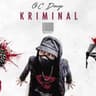 Album artwork for Kriminal by O.C. Dawgs